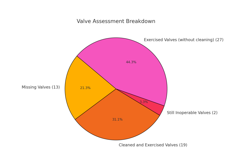 Valve Assessment Report - Municipality